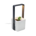 Vidaus sodas su LED apšvietimu - Image 6