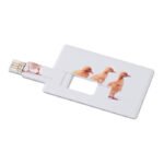 Kredito kortelės formos USB atmintukas 16GB