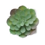 ARTIECHE - Image 3