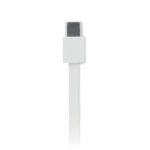 LINEA 100 - Image 19