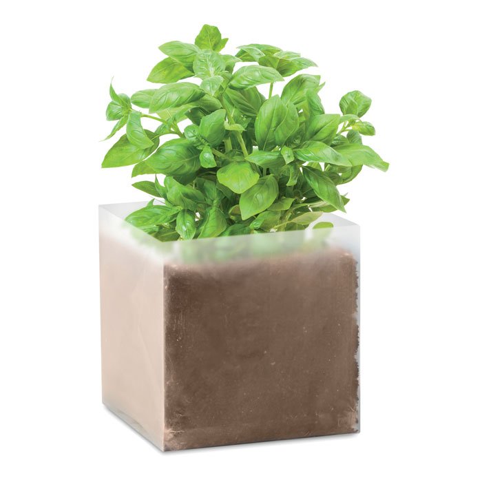smėlinė